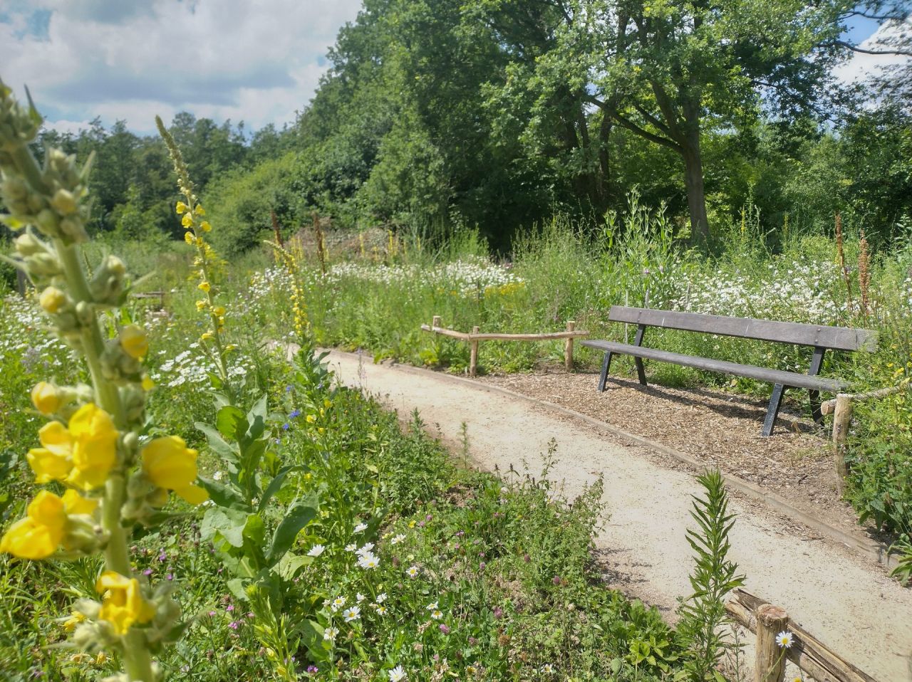 Plantentuin De Averegten