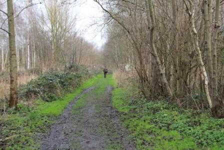 Gids wandelt door het Vrijbroekpark.