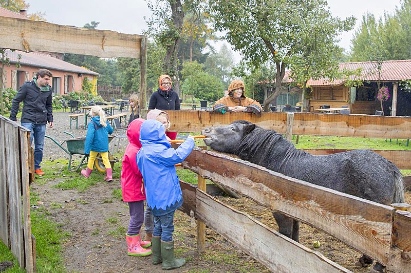 Kinderboerderij Lentehei