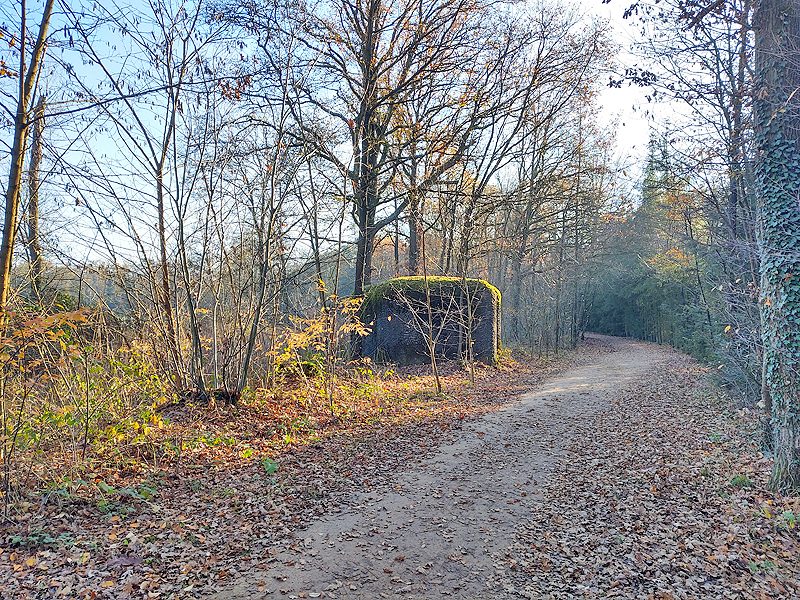 Bunkers aan het antitank-kanaal
