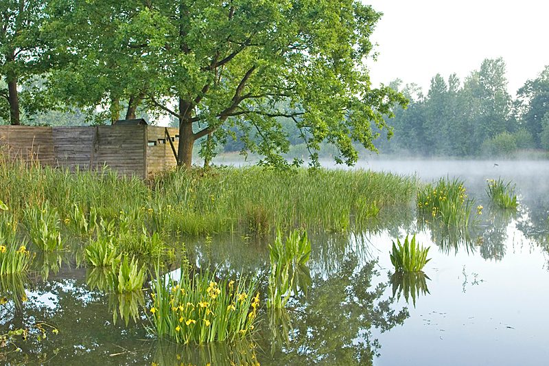 Prinsenpark Vogelkijkwand
