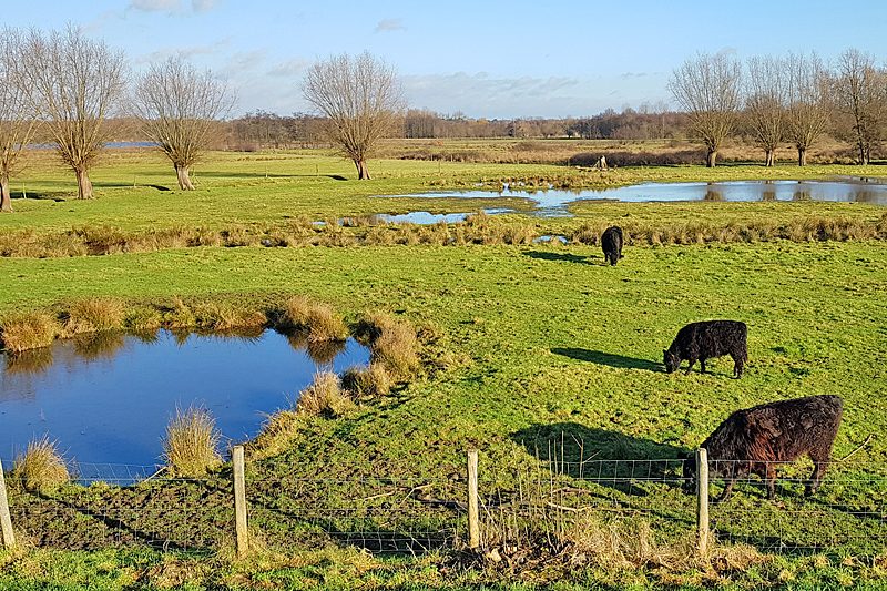 Mechels Broek