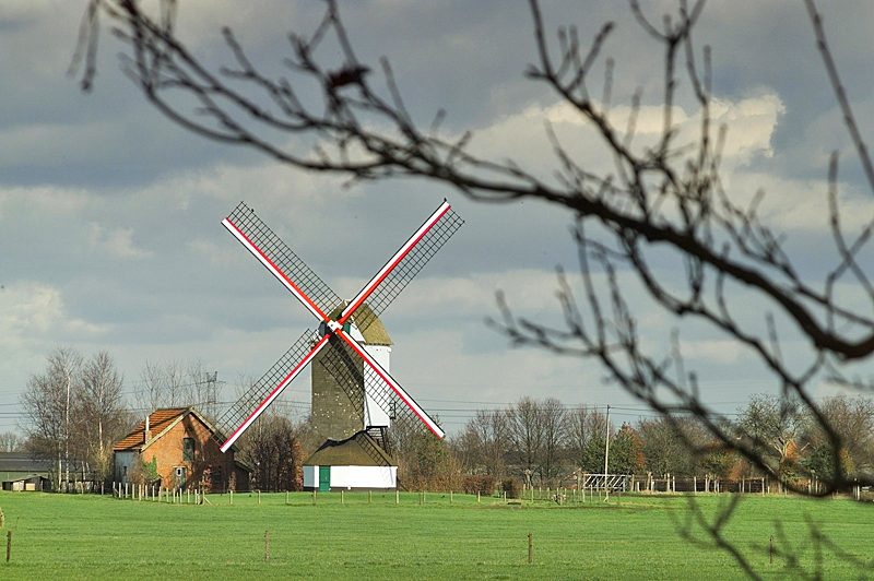 Hogewegmolen Noorderwijk