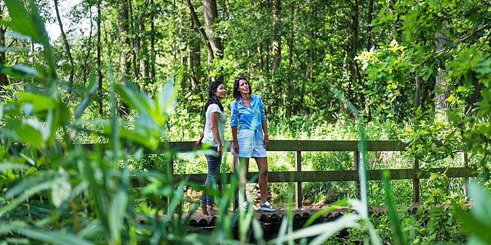 Wandelaars doen de Molenroute