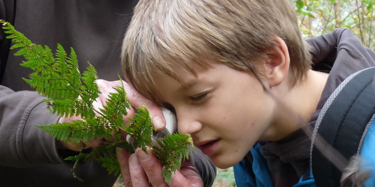 kind kijkt naar varen