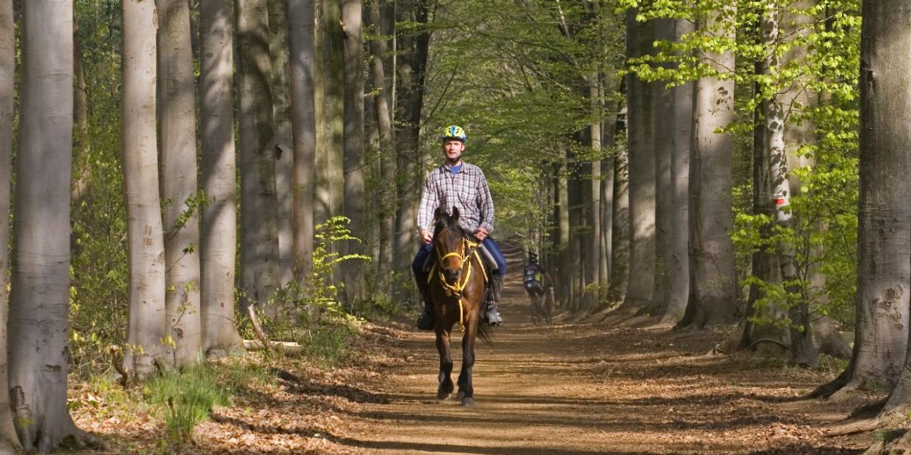 Paardrijden in de bossen van Hertberg