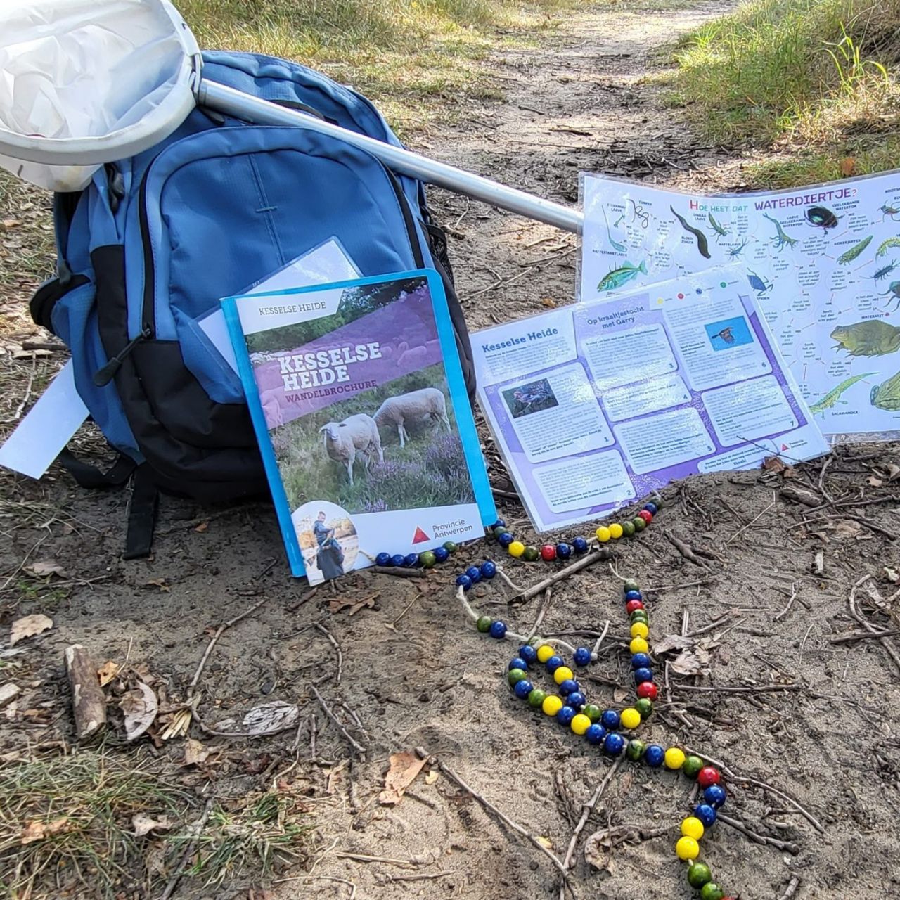 Kraaltjeswandeling Kesselse heide