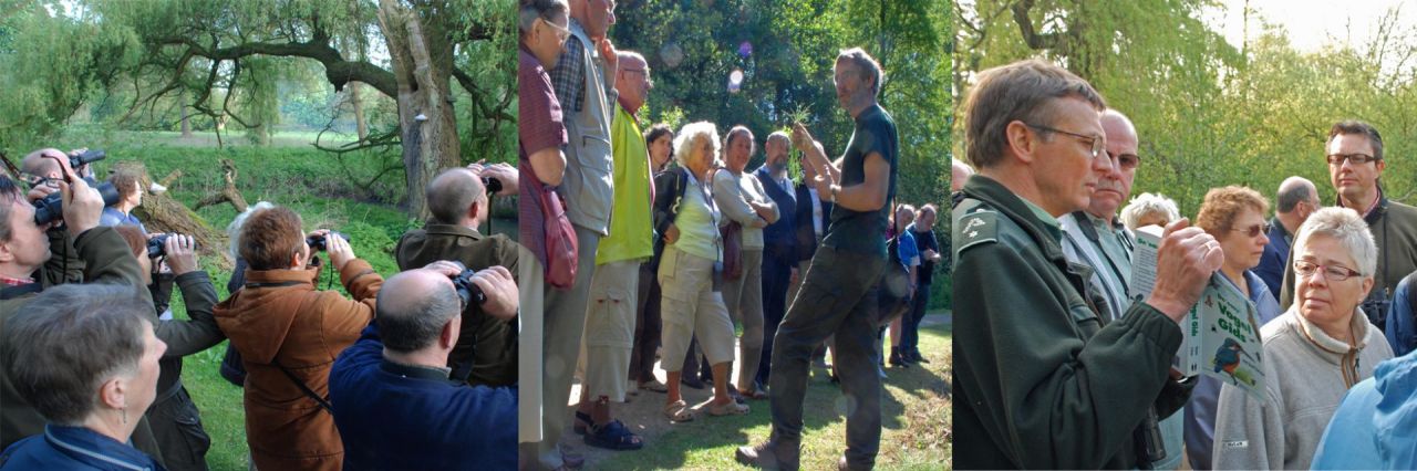 De domeinwachter gidst een natuurwandeling met een specifiek thema