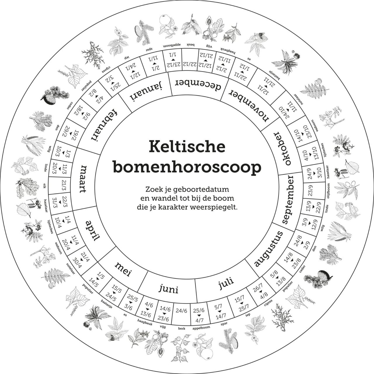Bomenhoroscoop_wiel