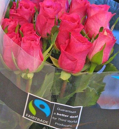 fair trade rozen