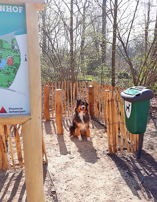 Hond aan een hondentoilet