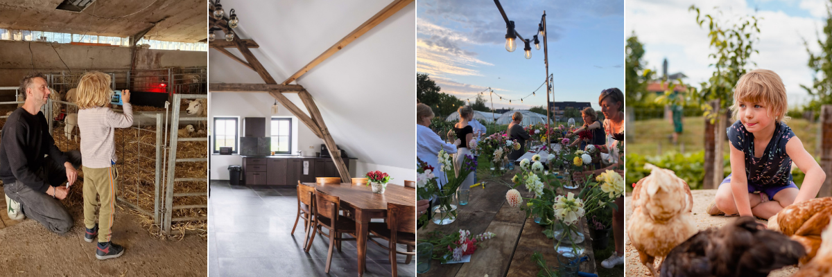 collage hoevetoerisme - 2