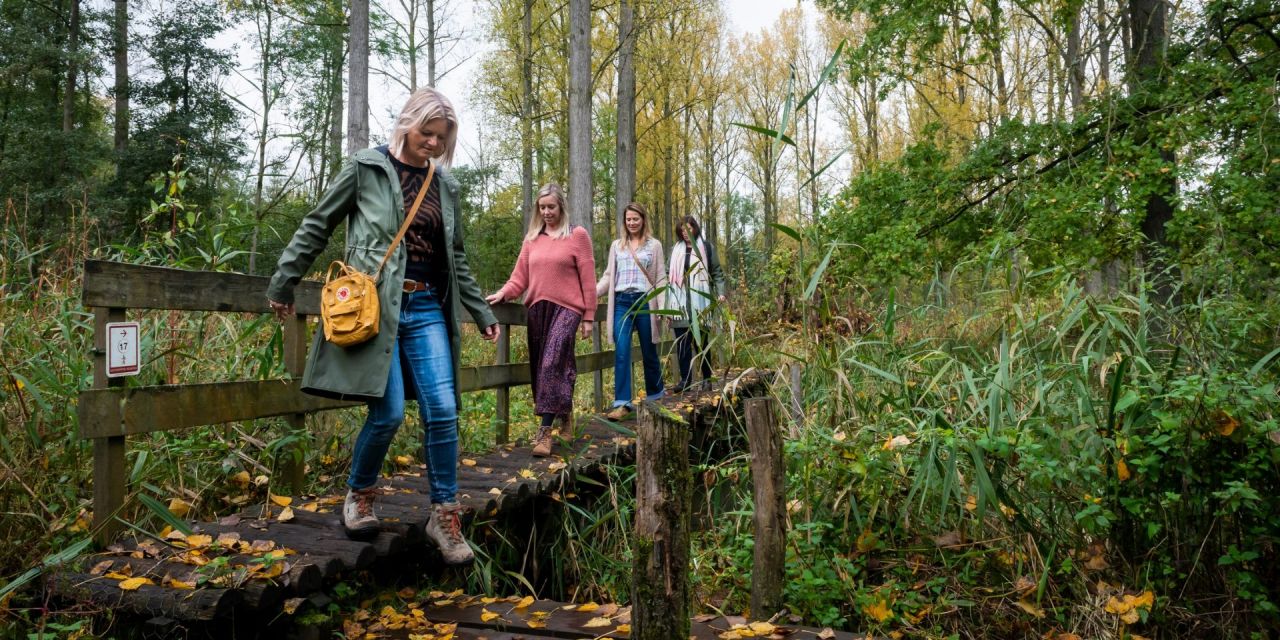 4 wandelaars op houten bruggetje