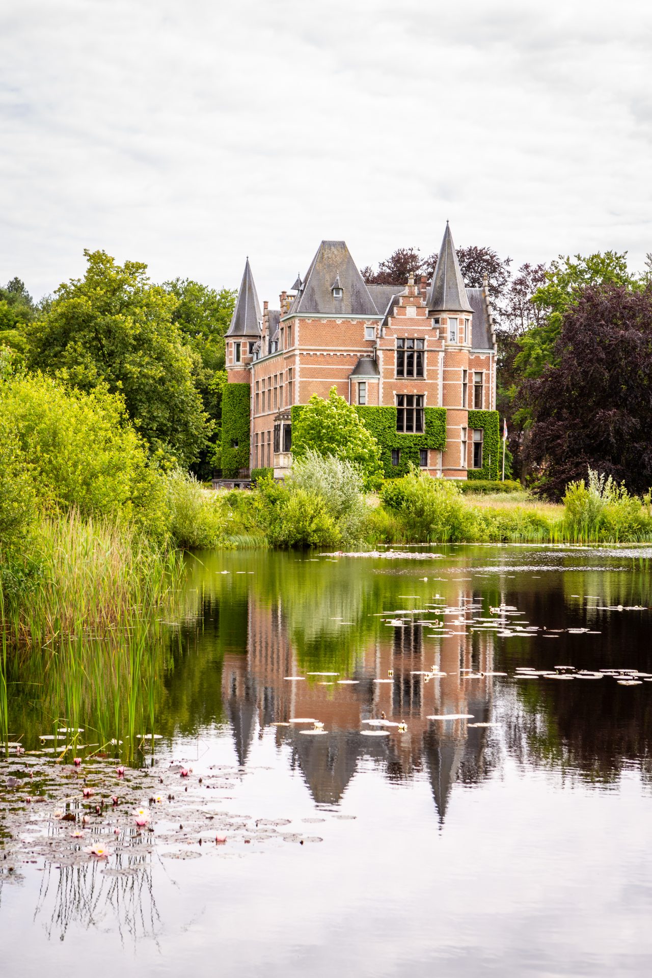 Kasteel Vrieselhof vijver