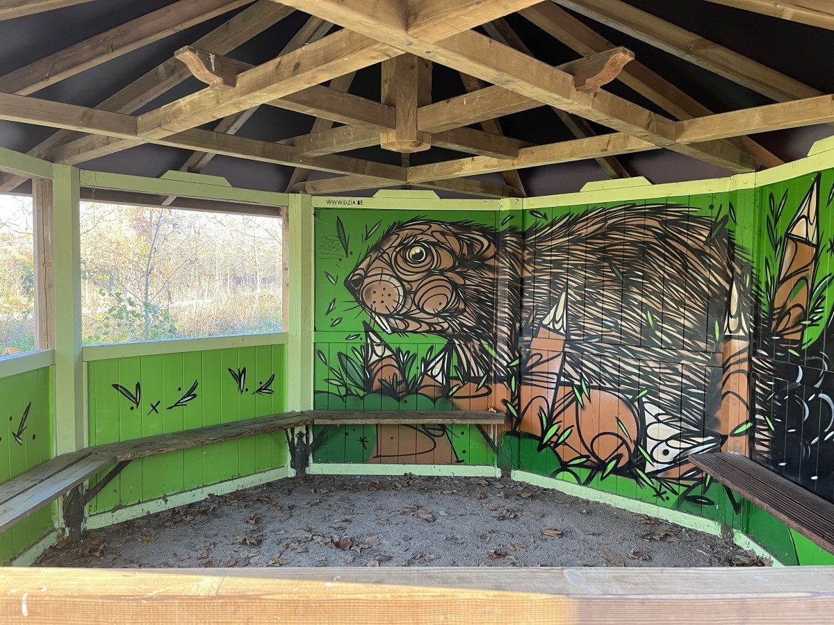 bevertekening in schuilhut in Vrijbroekpark