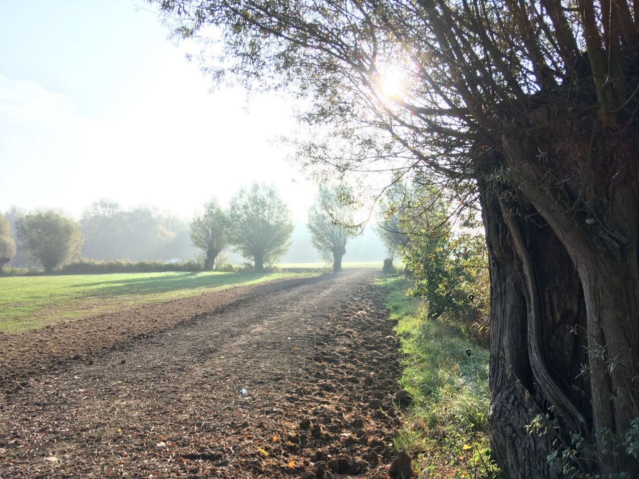 aanleg wilgernis Vrijbroek