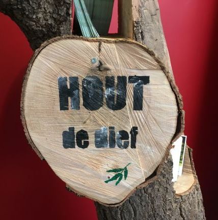 Boomschijf 'hout de dief' wandeling Vrijbroekpark