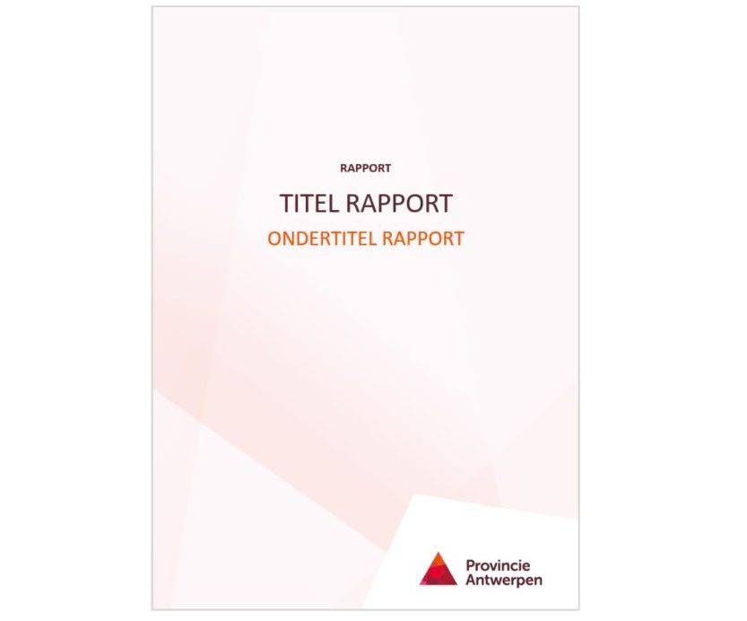 Sjabloon rapport