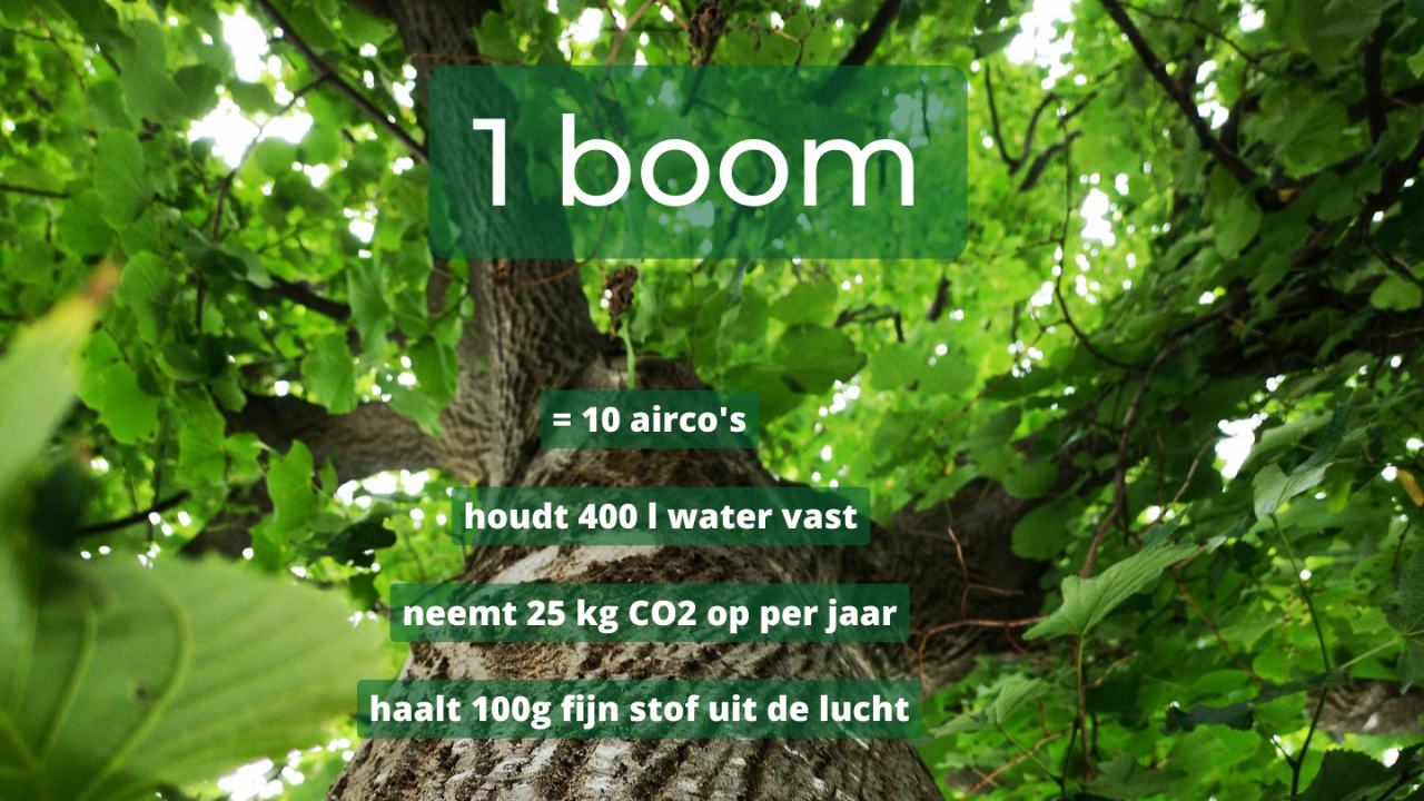 Infographic ecosysteemdiensten boom