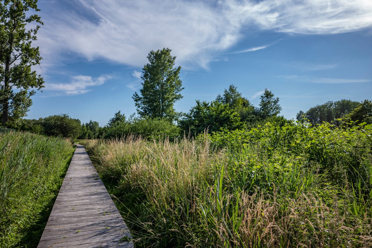 Laakvallei / Beerse / Antwerpen / Kempens Landschap