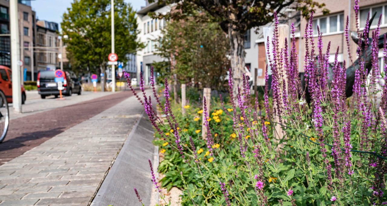 Leefmilieu in de Provincie Antwerpen 