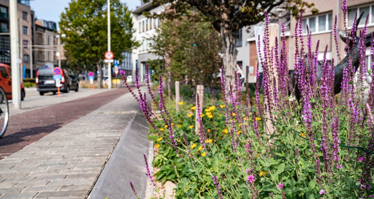 Leefmilieu in de Provincie Antwerpen 