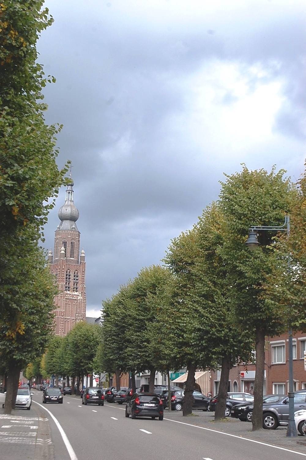 Hoogstraten_Vrijheid_groeninventarisatie