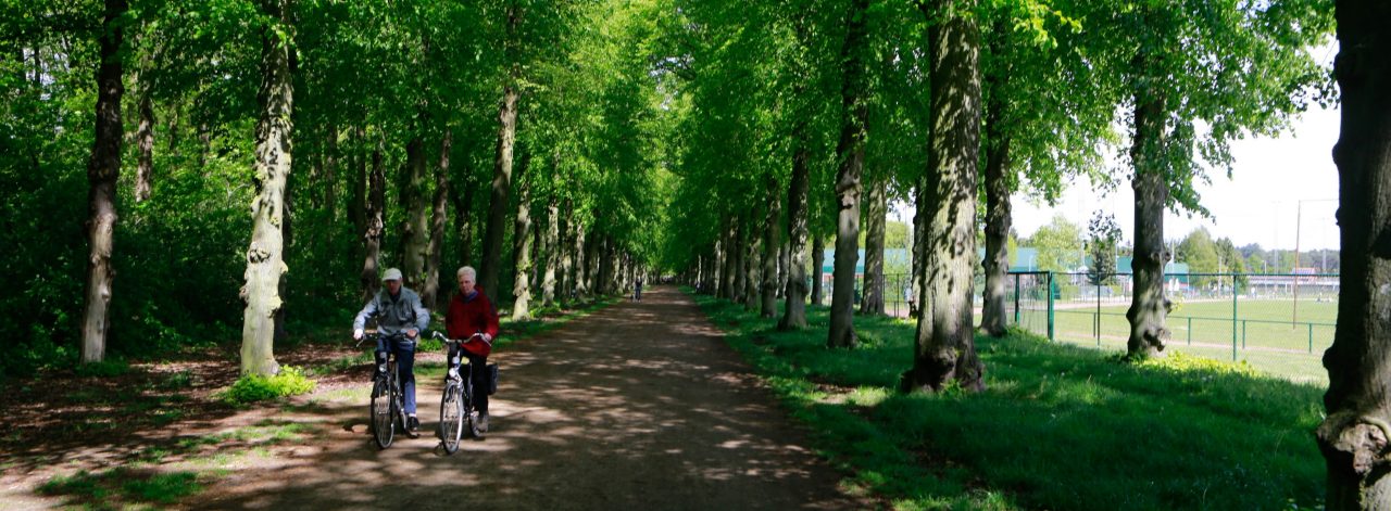 Trage weg met fietsende mensen