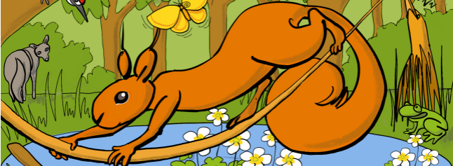 PMD_banner