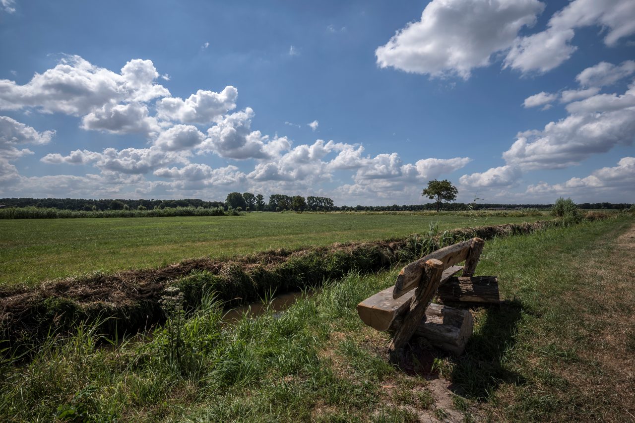 Beersgat / Wuustwezel / Kempens Landschap