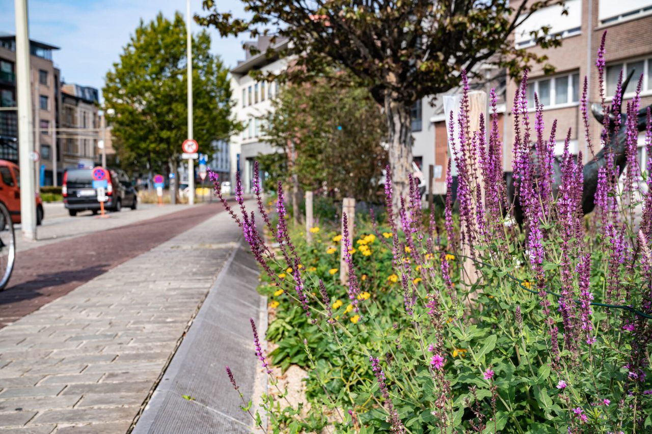 Openbaar groen naast fietspad