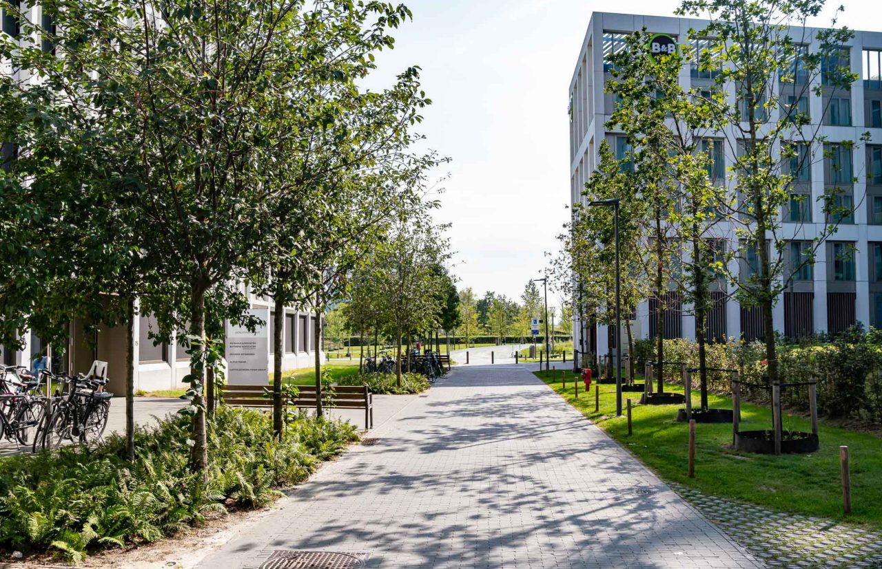 Stadsnatuur ontharding