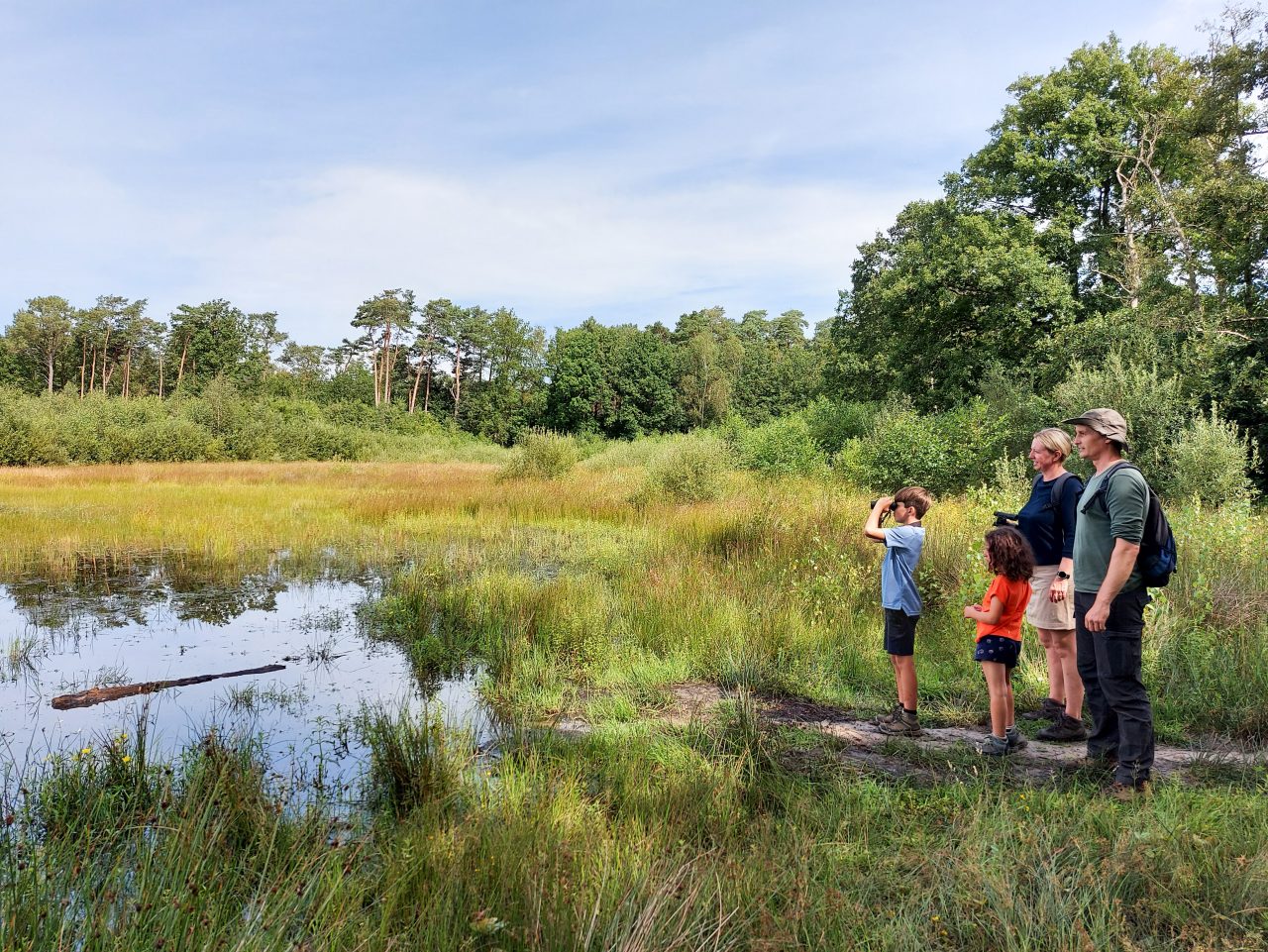 Wandelaars Bel provincie Antwerpen Regionale Landschappen Bosgroepen